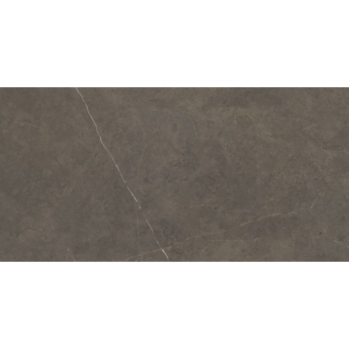 Tales Taupe Polished 60x120 cm Floor & Wall Tile