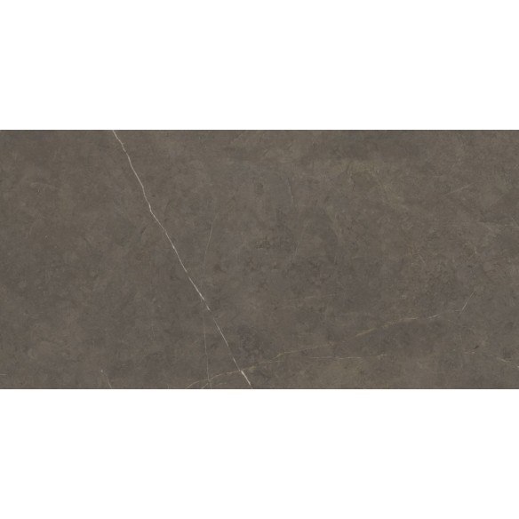 Tales Taupe Polished 60x120 cm Floor & Wall Tile