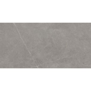 Tales Grey Polished 60x120 cm Floor & Wall Tile 2