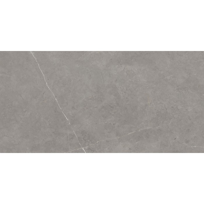 Tales Grey Polished 60x120 cm Floor & Wall Tile