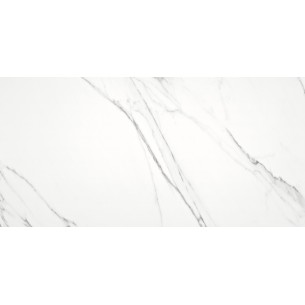 Estatuario Silver Pulido 60x120 cm Rectificado Suelo y Pared 2