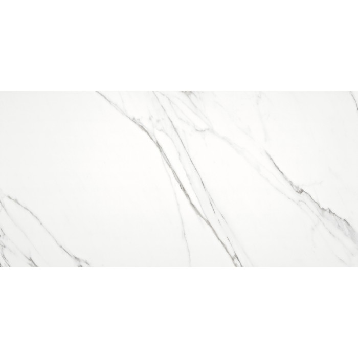 Statuario Silver Polished Rectified 60x120 cm...