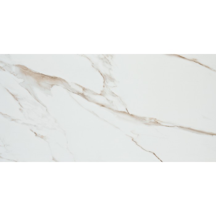 Gold White Matte 60x120 cm Rectified Floor &...