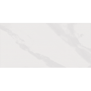 Cork Gloss 30x60 cm Rectified Floor & Wall Tile 2