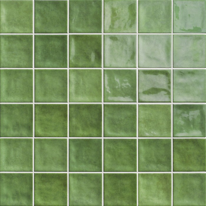 Vancouver Forest  20X20 cm. Wall Tile