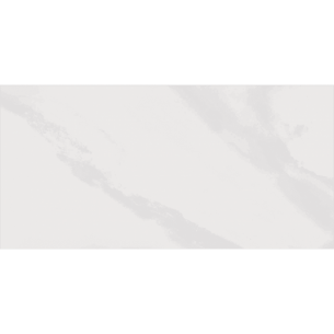 Cork Natural 30x60 cm Rectified Floor & Wall Tile 2