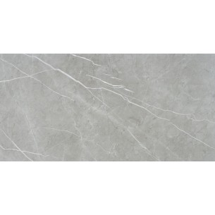 Aveiro  Grey Satinado 60x120 Rec. 2