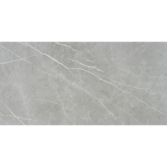 Aveiro  Grey Satinado 60x120 Rec.