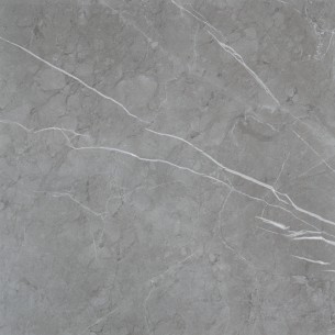 Aveiro  Grey Satinado 60x60 Rec. 2