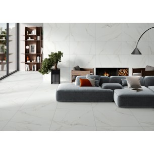 Estatuario Italiano Mate 60x120 Rec.