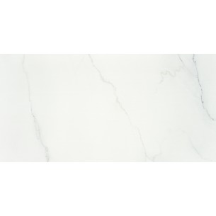 Estatuario Italiano Mate 60x120 Rec. 2