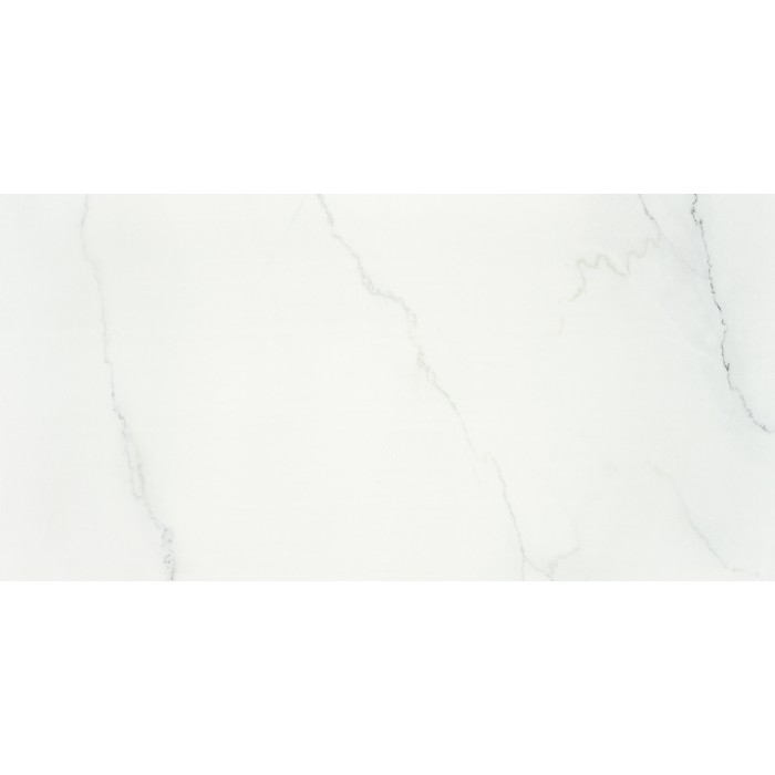 Estatuario Italiano Mate 60x120 Rec.