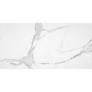 Calacata Mix Pul 60x120 Rec. 2