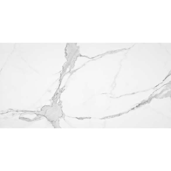 Calacata Mix Pul 60x120 Rec.