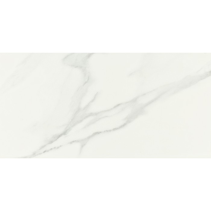 Carrara White Matt 30x60 cm