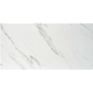 Carrara White Matt 30x60 cm Floor & Wall Tile 2