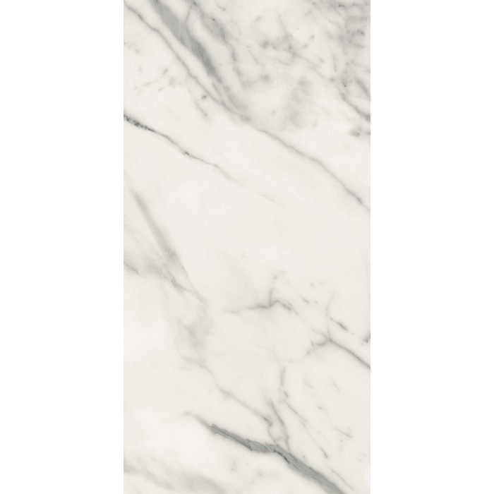 MODULAR VENATO 22X44